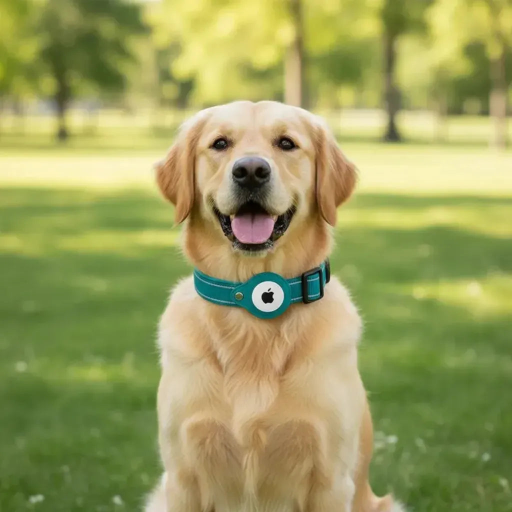 Collar Perro Soporte Airtag Ajustable Reforzado Perro-gato